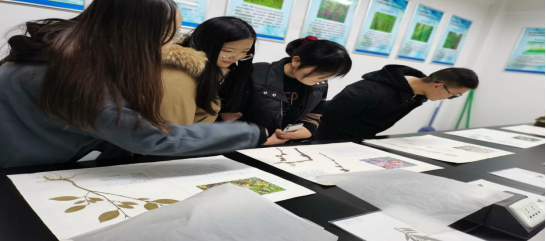 1630915347632687.png image.png